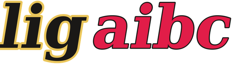 ligaibc logo